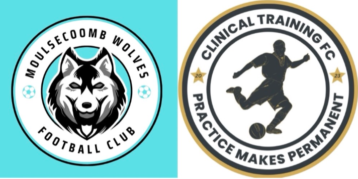 Moulsecoomb Wolves vs Clinical Training