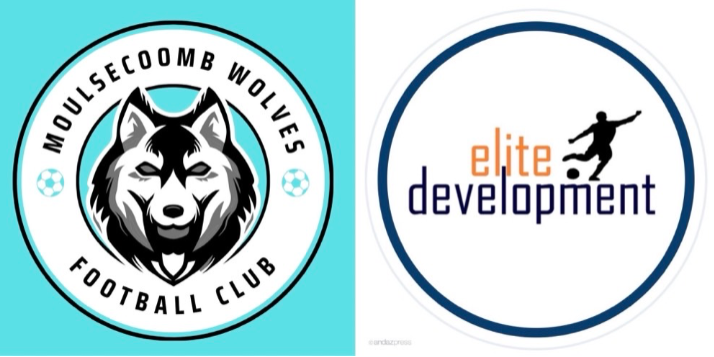 Moulsecoomb Wolves vs Elite Development