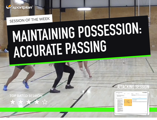 Maintaining Possession Lesson Plan