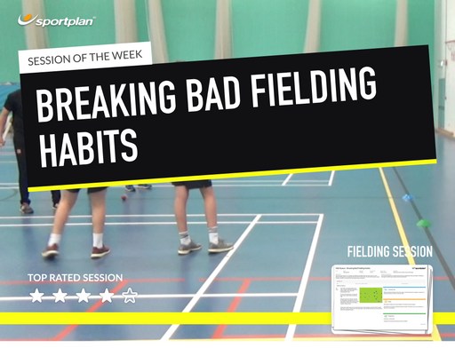 Mid-Season - Breaking Bad Fielding Habits Lesson Plan