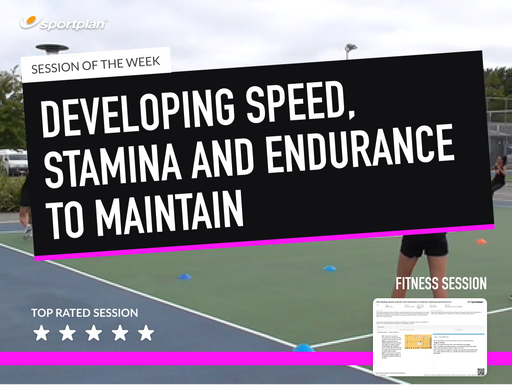 Developing speed, stamina and endurance to maintain optimum performance Lesson Plan