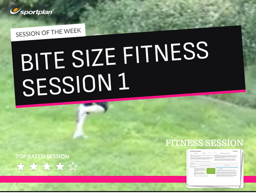 Bite size fitness session 1 Lesson Plan