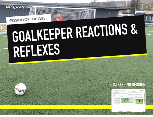 Goalkeeper - Reactions and Reflexes Lesson Plan