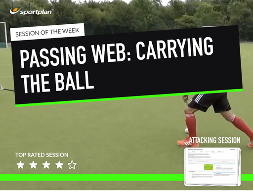 Passing Web: Ball Carrying Lesson Plan