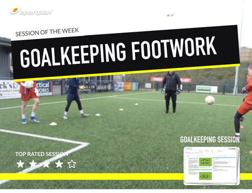 Goalkeeper Footwork Lesson Plan