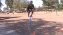 Kangaroo Jumps | Agility Fitness