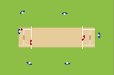Kwik Cricket | Conditioned games