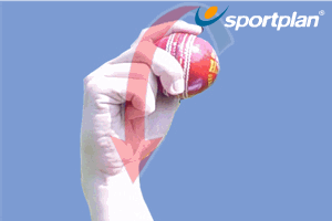 Off Spin - Grip Techniques - Cricket Drills, Cricket | Sportplan