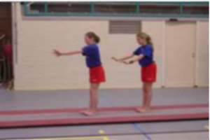Stability/Balance 117 stability/balance - Handball | Sportplan