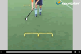 Forehand Stick Dink | 3D skills