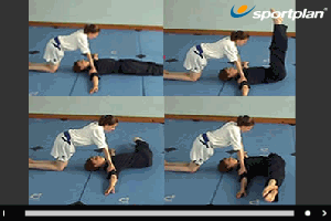 Spine and Hip twists - Pike Shape Key 5 9 Assisted | Sportplan