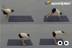 Cat Spring (Straddle) Key 1 Body Conditioning - | Sportplan