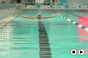 Butterfly - Technique - Swimming Drills, Swimming | Sportplan